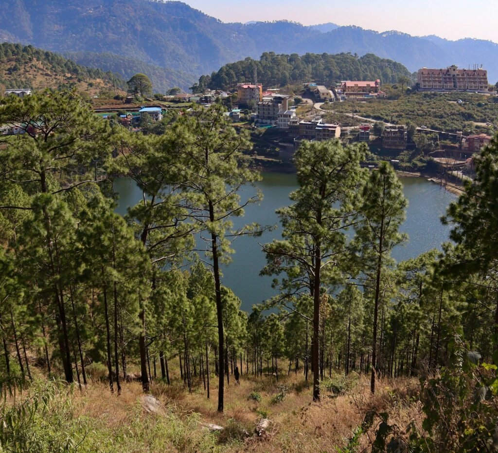 Naini Lake surrounded by trees and hills, Nainital