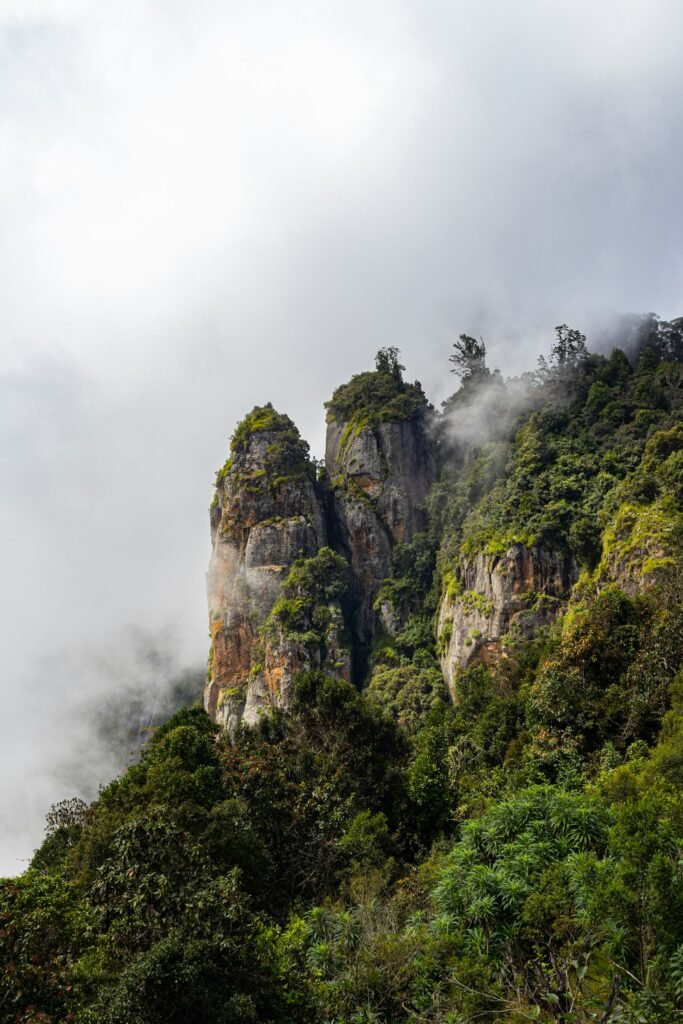 Mountain covered in trees and clouds, Kodaikanal, Tamil Nadu