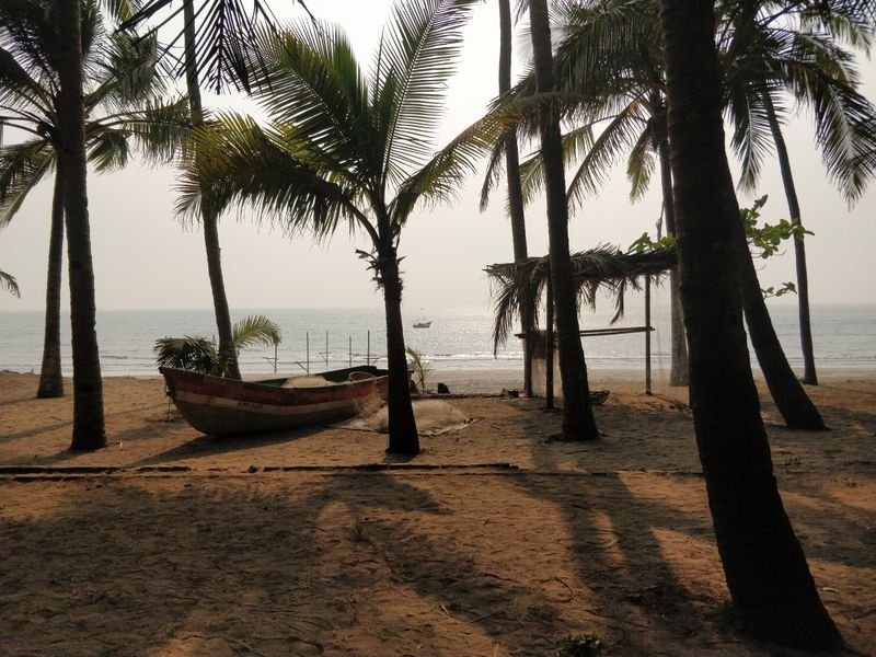 Wooden boat and palm trees on an Alibaug beach