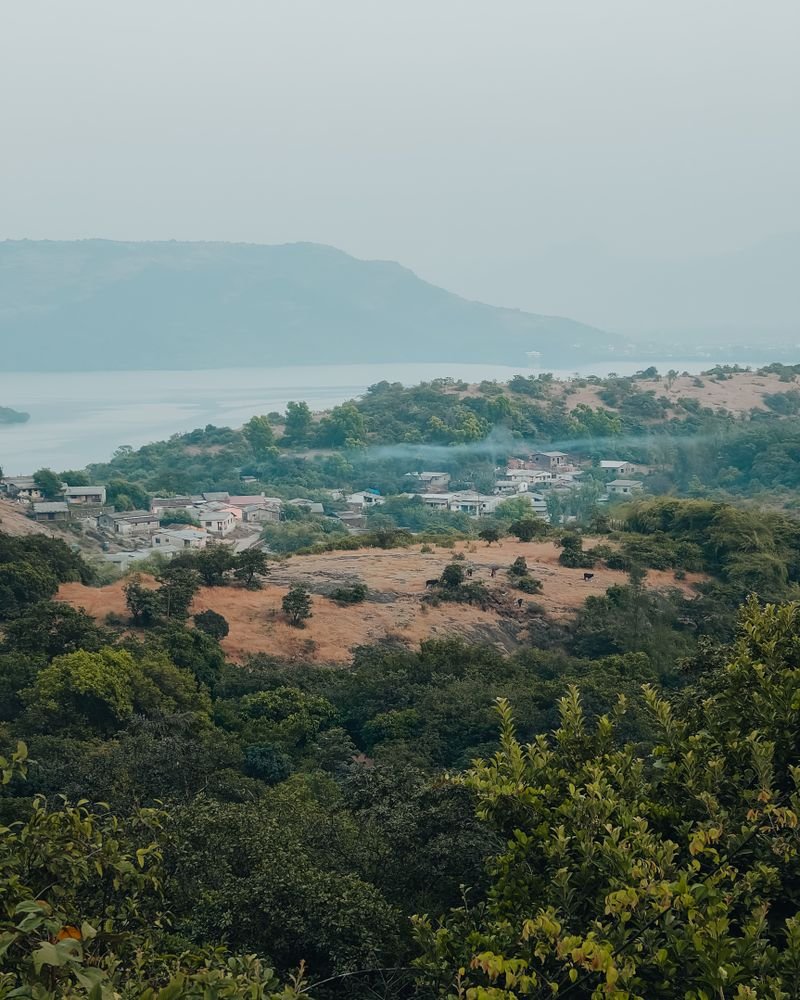 Forested hills above a lake near Lonavala and Pawna