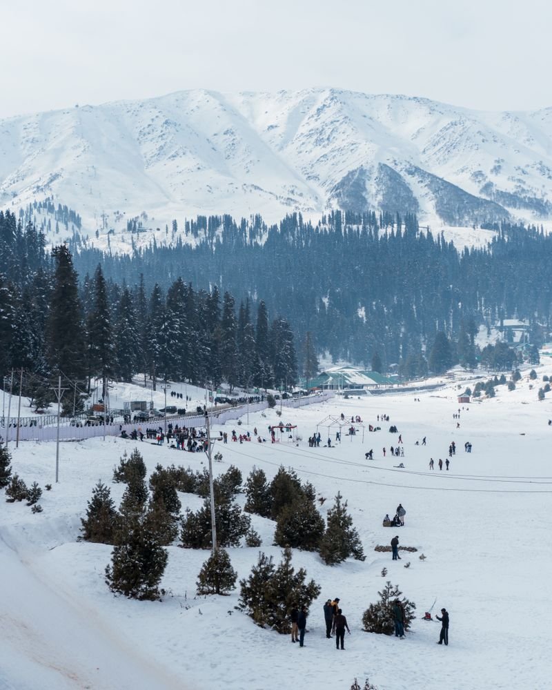 Snow-covered slopes and pine trees at Gulmarg
