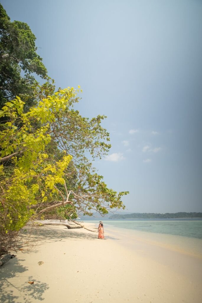 Quiet beach in the Andaman Islands